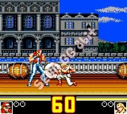 Fatal Fury Special (U)