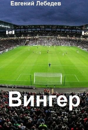 Евгений Лебедев Вингер. Книги 1-6