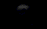Череп (1) (1)