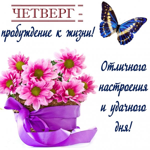 file_90749170