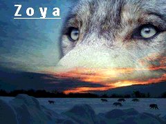 Зоя