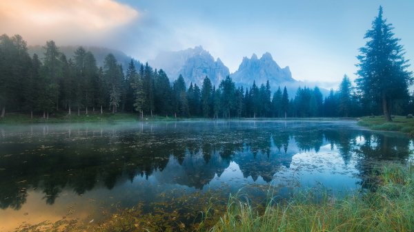 file_96735910