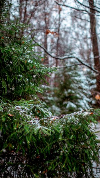 file_92638562