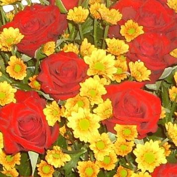 file_85384325