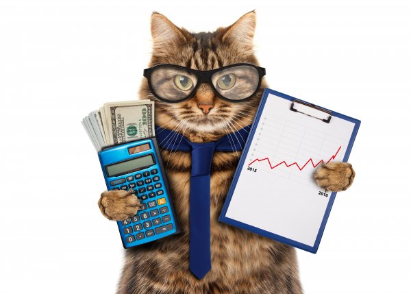 Cats Money Glasses 474913