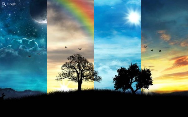 Day Night Live Wallpaper PRO v1.5.3