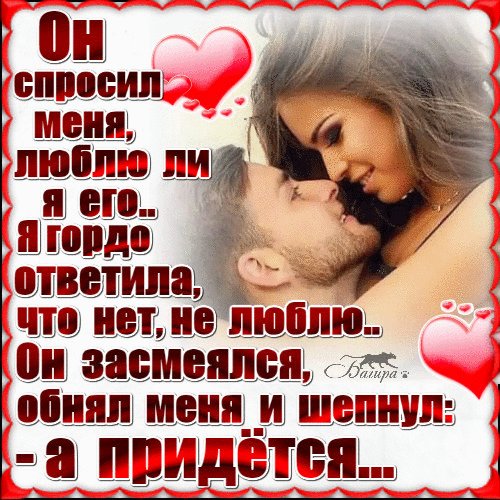 image (12)