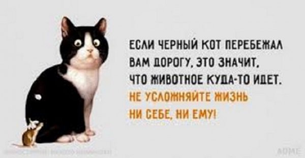 file_97508100