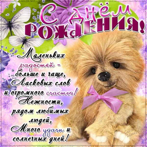 file_81284491
