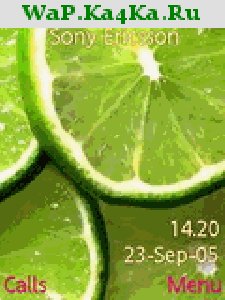 file_4555534
