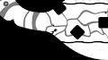 Naught 1.0.1
