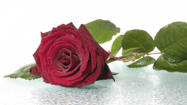 Image) (5)