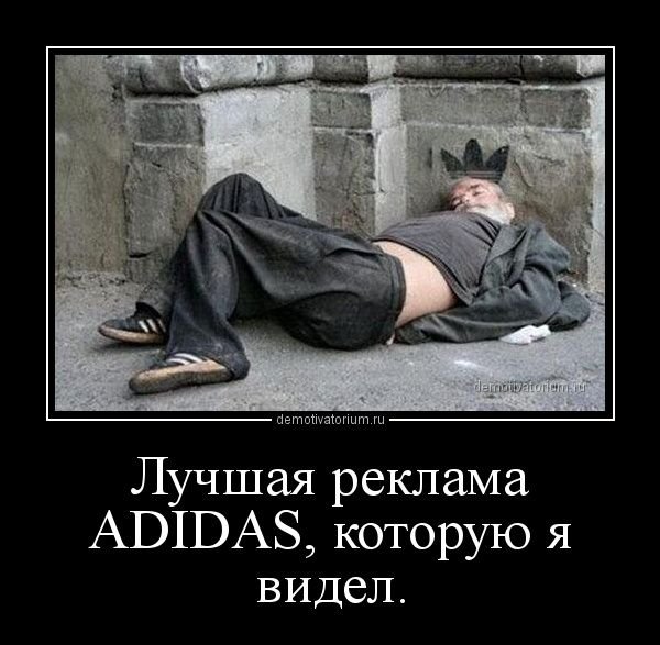 A5c166af5a8550c331ec0b555548593c