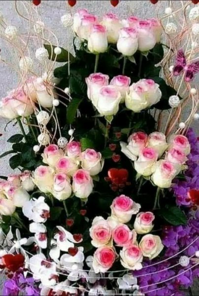 file_95695327
