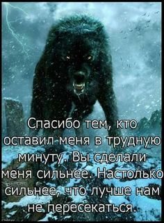 c6ee1fa85bbef1aeaee28b9ab76528a8