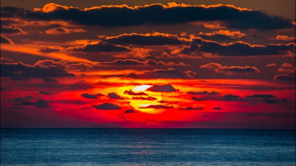 file_82851680
