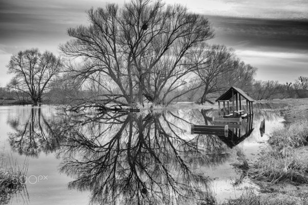 file_96455157