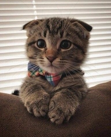 file_97507352