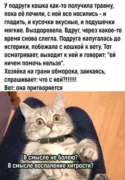 file_103215454