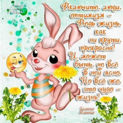 чудо -это жизнь