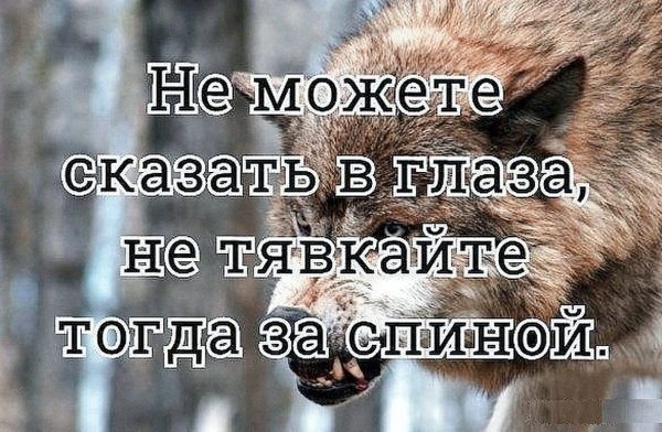 IMG 20260118 193943