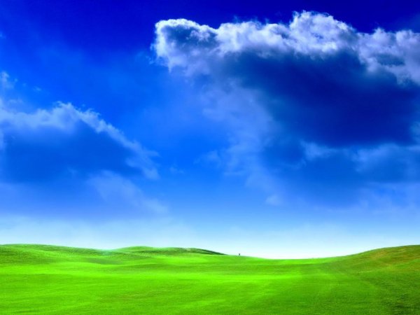 Windows xp