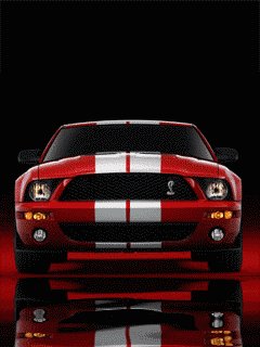 Mustang