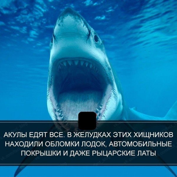 file_78358707