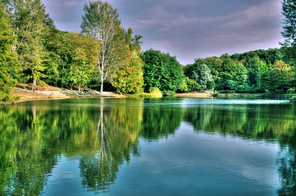 Priroda-ozero-les-turciya