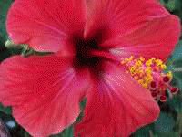 file_85268997