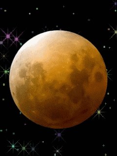 file_56498186