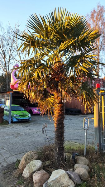 IMG 20251230 153726