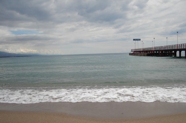 file_59445308