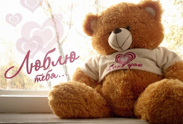 0 35736 edb9687 XL