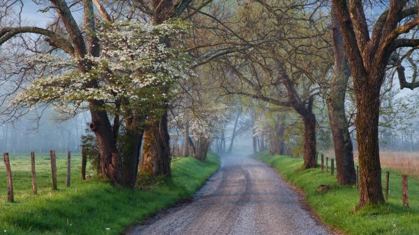 CadesCove ROW4986631757 UHD