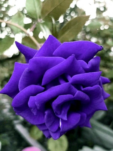 Bfe3fe72
