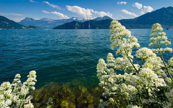 Scenic Europe 2 by Ingo Scholtes switzerland
