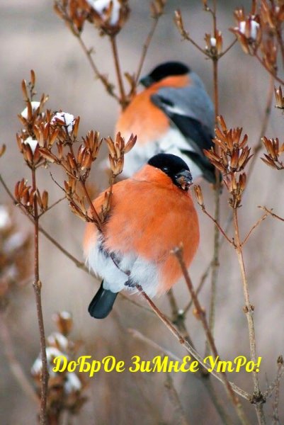 file_92211299