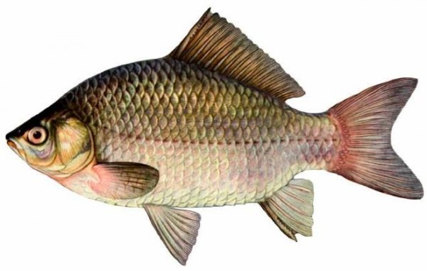 IMG 20231127 144000 871