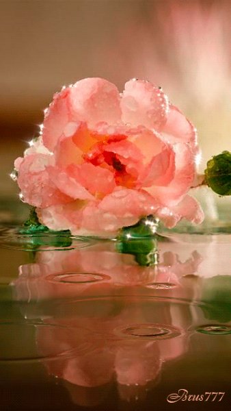 file_52410393