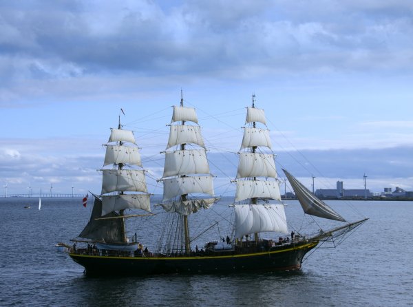IMG Tremaster viter59