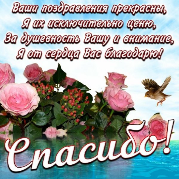 Спасибо за поздравления