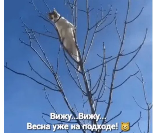 Весну вижу....