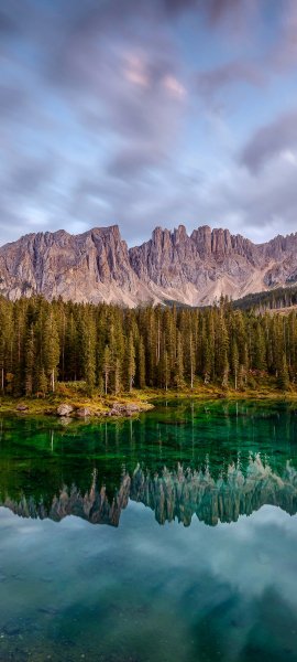 file_99378798