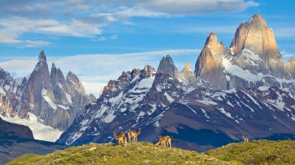 PatagoniaGuanaco ROW8928325085 UHD