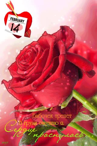 file_38329470
