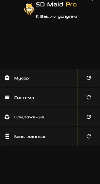 SDMaidРro
