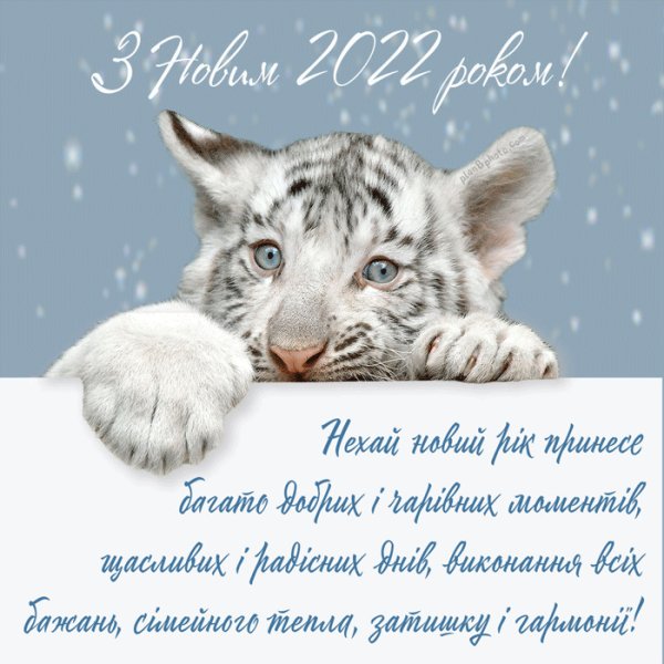 с новым годом 085008