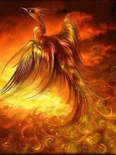 fenix anim