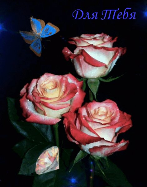 file_81840383